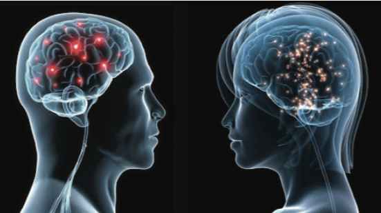 El Arte Y La Ciencia Médica